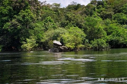 世界自然遗产名录之亚马逊河中心综合保护区