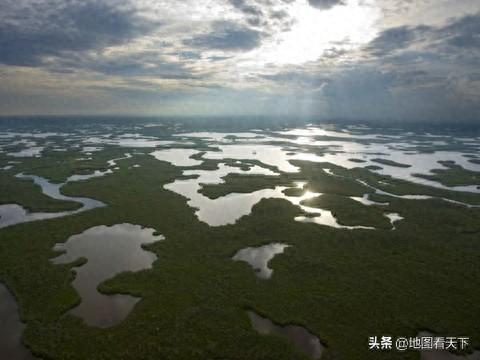 世界自然遗产名录之大沼泽国家公园