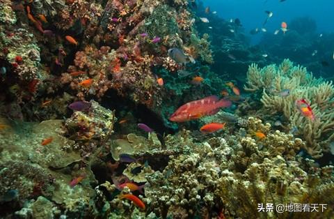 世界自然遗产名录之澳大利亚大堡礁