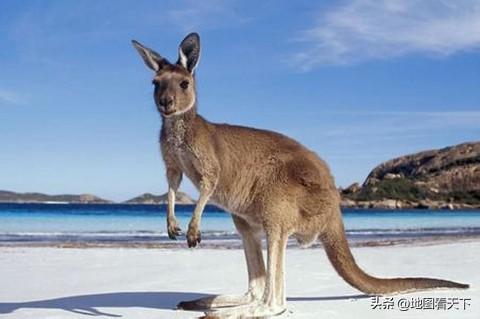 世界自然遗产名录之澳大利亚昆士兰湿热带地区
