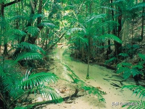 世界自然遗产名录之澳大利亚弗雷泽岛