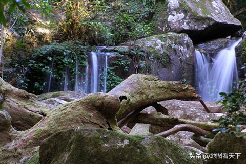 世界自然遗产名录之澳大利亚冈瓦纳雨林